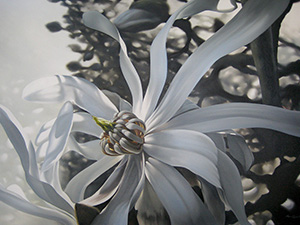 Klicka för att gå vidare